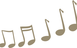 Упражнение 2: звуки, закон сингармонизма, синонимы, ударение в глаголах