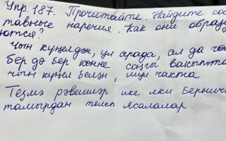 Упражнение 187. Прочитайте. Найдите составные наречия