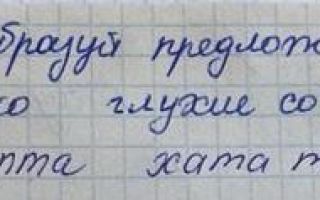 Упражнение 53. Образуй предложение, используя только глухие согласные звуки