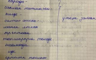 Упражнение 14. Найдите глаголы в предложениях, определите время.