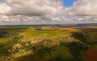 Упражнение 301: запишите определяемые слова и существительные