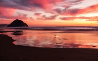 Упражнение 308: разберите предложения по составу