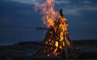 Упражнение 304: Перепишите текст, числительные запишите словами