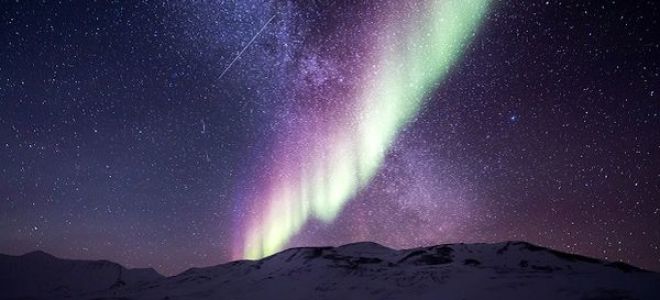 Упражнение 278-279: определенные местоимения