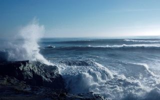 Упражнение 290: Переведите  на  татарский  язык  отрицательные  местоимения