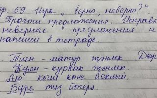 Упражнение 59. Игра «Верно-неверно». Прочти предложение, исправь неверные