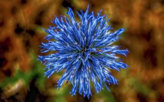 Упражнение 294: прочитайте, проверьте по образцу образование местоимений