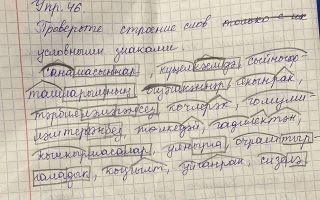 Упражнение 46. Проверьте строение слов условными знаками